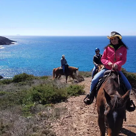 ベッド・アンド・ブレックファスト Glamping Semaforo Capo Sperone