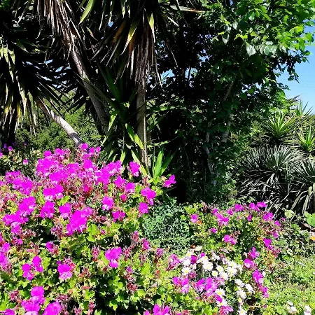 Bed & Breakfast Glamping Semaforo Capo Sperone SantʼAntìoco