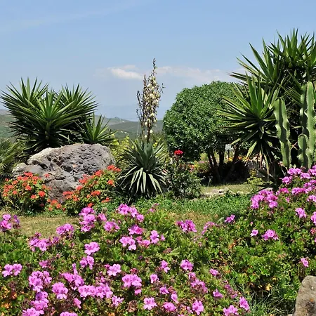 Glamping Semaforo Capo Sperone