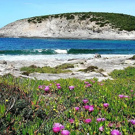 Glamping Semaforo Capo Sperone