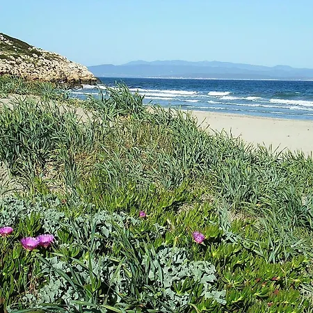 ベッド・アンド・ブレックファスト Glamping Semaforo Capo Sperone