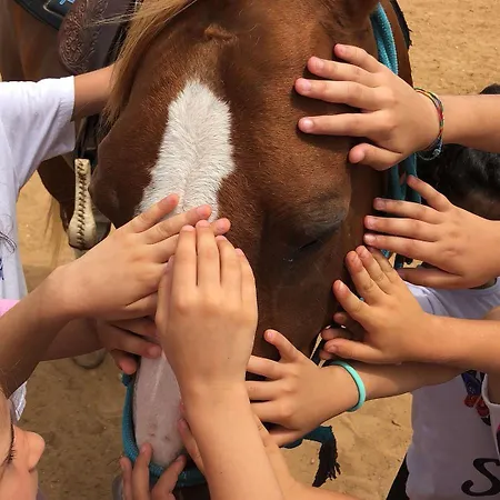 Glamping Semaforo Capo Sperone 4*