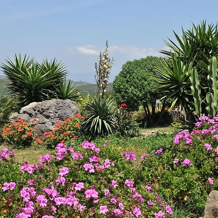 ベッド・アンド・ブレックファスト Glamping Semaforo Capo Sperone