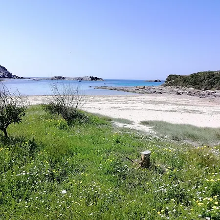 ベッド・アンド・ブレックファスト Glamping Semaforo Capo Sperone 4*