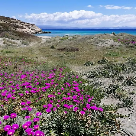 Glamping Semaforo Capo Sperone SantʼAntìoco