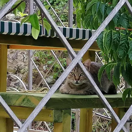 Glamping Semaforo Capo Sperone Panzió 4*