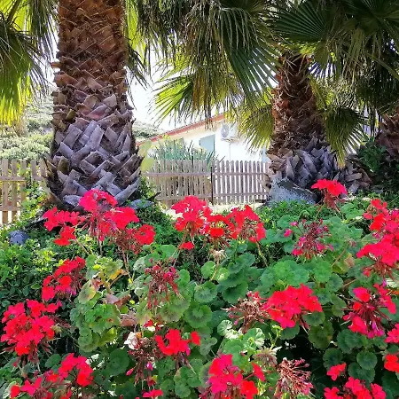 Glamping Semaforo Capo Sperone Bed & Breakfast SantʼAntìoco