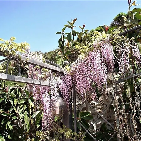 Glamping Semaforo Capo Sperone 4*